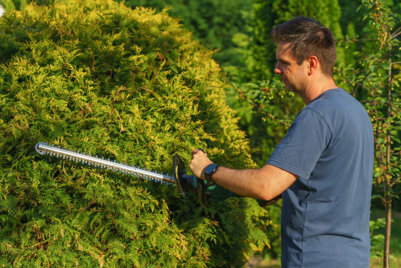 Gartenarbeiter schneidet mit dem Trimmer eine Hecke in Form